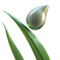 vibrant rustic vibrant modern A Close Up of a Dewdrop on a Blade Of high resolution detailed png