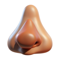 extraordinary vintage A human nose, realistically rendered, soft diffused light, subtle shadows, minimalist portrait study high quality png