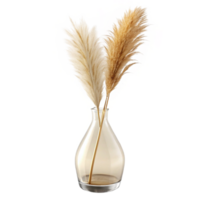 impressive vintage A single stem of dried pampas grass in a clear glass vase, with subtle, diffused lighting from behind premium png