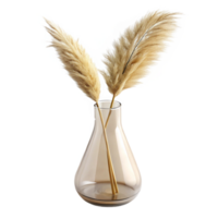 impressive vintage A single stem of dried pampas grass in a clear glass vase, with subtle, diffused lighting from behind exclusive png