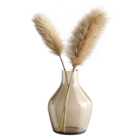 extraordinary creative A single stem of dried pampas grass in a clear glass vase, with subtle, diffused lighting from behind authentic png