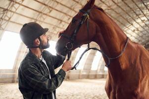 Taking care ,of animal. Young ,man with a horse is in the hangar photo