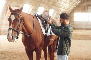 Installing ,the saddle. Young man with a horse is in the hangar photo