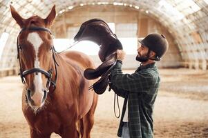 Holding and ,installing saddle. Young man with a horse is in the hangar photo
