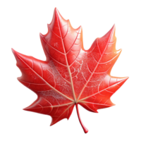 beautiful contemporary A single, perfect red maple leaf, delicately veined, caught in a spiderweb glistening with morning dew, lit by soft, diffused sunlight. Hyperrealistic style premium png