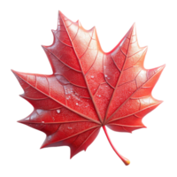 impressive traditional A single, perfect red maple leaf, delicately veined, caught in a spiderweb glistening with morning dew, lit by soft, diffused sunlight. Hyperrealistic style authentic png