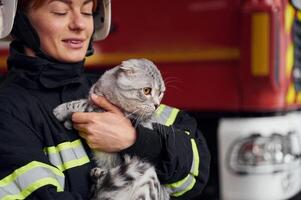 Cat ,with grey wool is in the hands of employee. Woman firefighter in uniform is at work in department photo