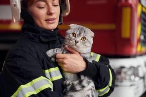 Cat with grey wool is in the hands ,of employee. Woman firefighter in uniform is at work in department photo