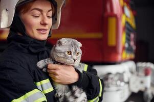 Cat with grey wool, is in the hands of employee. Woman firefighter in uniform is at work in department photo