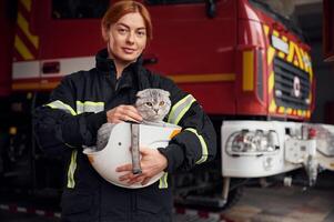 Cute ,grey colored scottish fold cat is in the hands of woman's firefighter that is in uniform at work in department photo