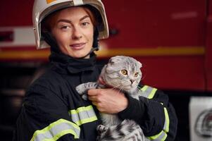 Cute grey colored scottish ,fold cat ,is in the hands of woman's firefighter that is in uniform at work in department photo