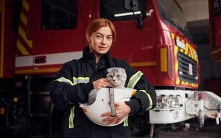 Cat is ,inside of the protective helmet. Woman firefighter in uniform is at work in department photo