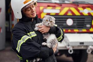 Conception of savior.. Holding cat in hands.. Woman firefighter in uniform is at work in department photo