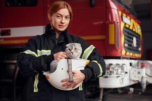Cat is inside of the protective helmet. Woman firefighter in uniform is at work in department photo