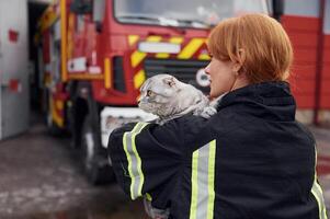View from behind. Holding cat on shoulders. Woman ,firefighter in uniform is at work in department photo