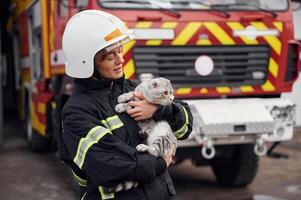 Conception of savior. Holding, cat in hands.. Woman firefighter in uniform is at work in department photo