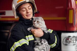Cat with grey wool, is in the ,hands of employee. Woman firefighter in uniform is at work in department photo