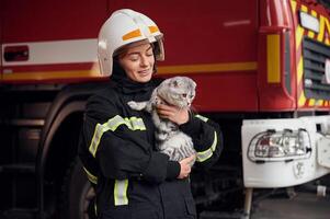 Cat with grey wool is in the hands of, employee. Woman firefighter in uniform is at work in department photo