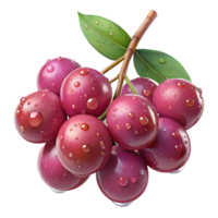 elegant classic A cluster of ripe berries on a branch, glistening with dew, natural lighting, realistic style professional png