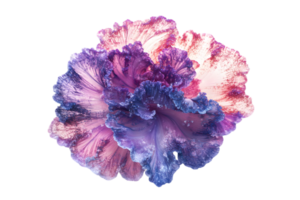 Abstract 3D Rendering with Wavy Fractal Pattern with Purple and Pink on Transparent Background png