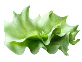 Abstract Green Leaf Texture with Soft Lighting and Clean Transparent Background for Creative Design Element png