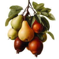 Assorted Pears Hanging on a Branch with Green Leaves Isolated on Transparent Background in a Studio Setting with Rich Colors png