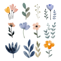 Botanical Watercolor Flowers and Leaves Isolated on Transparent Background for Design Projects and Creative Compositions Decoration Element png