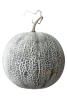 Close Up of Gray Cantaloupe Melon Isolated on Black Background Displaying a Distinct Texture and Pattern with Intricate Markings png