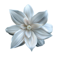 Stunning Closeup of a Delicate White Flower with Soft Petals and a Golden Center png