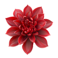 A Stunning Red Dahlia Flower in 3D Render, Exquisite Petals, Vibrant Bloom, Closeup View, Detailed Texture, Digital Art, Botanical Illustration png