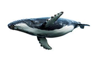 Digital Pixelated Humpback Whale with White Pattern on Dark Background for Graphic Design and Illustration Projects png