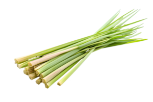 Fresh Cut Lemongrass Bundle Isolated on Transparent Background Aromatic Culinary Ingredient with Green Stalks for Cooking png