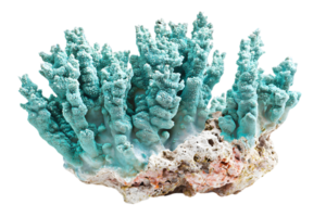 Intricate Copper Mineral Specimen Displaying Turquoise Oxidation Isolated Against Black Background Captivating Geological Formation With Metallic Luster And Fine Texture png
