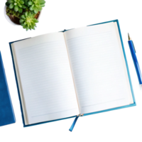 Blank Lined Notebook Open on Desk with Succulent Plant and Pen png