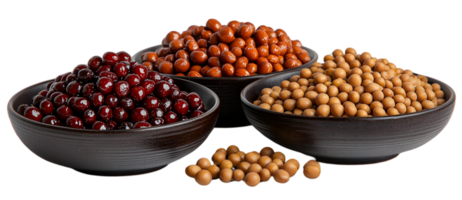 Assorted Beans In Dark Bowls On Black Background png