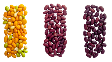 Assorted Beans In Different Colors On Black Background png