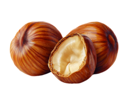 Close Up Hazelnuts With Transparent Background png