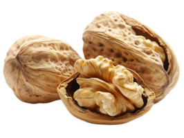 Close Up Of Three Walnuts With One Halved And Showing Kernel png