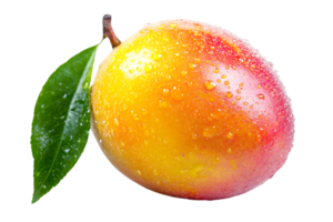 Fresh Mango With Water Drops And Leaf png