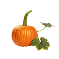 A vibrant orange pumpkin with its green stem and leaves against a black background a perfect autumn harvest image png