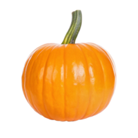 A Single Small Orange Pumpkin on a Black Background png