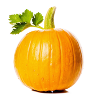 A Single Small Orange Pumpkin with Green Stem and Leaves on a Black Background png