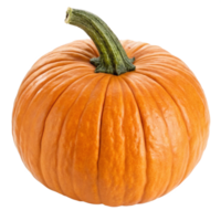 A perfectly ripe orange pumpkin with a green stem, ready for carving or pie png