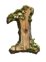 Number One Mossy Bark Texture on a Transparent Background Woodland Decorative Element Symbolic Rustic Natural Design Detailed Macro View png