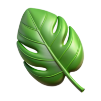 3D Render of Green Monstera Leaf Isolated on Black Background png