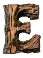 Rustic Wooden Letter E with Moss on Transparent Background Detailed Textural Alphabet Character Close Up 3D Rendering png