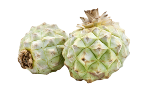 Two Atemoya Fruits with a Rough Texture Isolated on Black Background in a Studio Setting with Sharp Focus and Detailed Skin Showing Patterns png