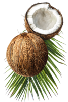 Two Coconuts with Green Palm Leaf on a Transparent Background Close Up Still Life png