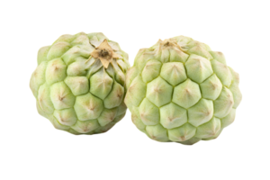 Two Light Green Custard Apples on Transparent Background in Studio Shot png