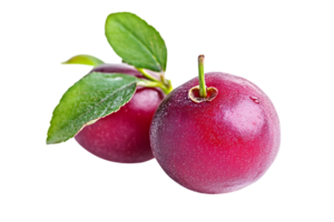Two Red Cranberries with Green Leaves on Transparent Background Close Up Studio Shot png